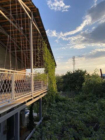 Фотографии Отели типа «постель и завтрак» Artson B&B Vagharshapat г. Vagharshapat (Армения) №2 Фото Отели типа «постель и завтрак» Artson B&B Vagharshapat г. Vagharshapat 2